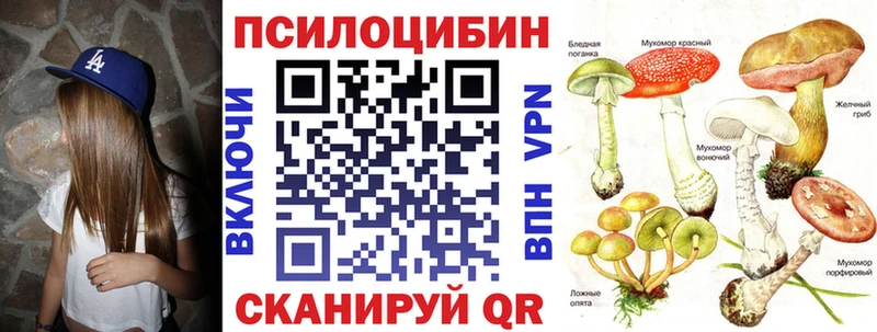 Псилоцибиновые грибы Psilocybe  Усмань 